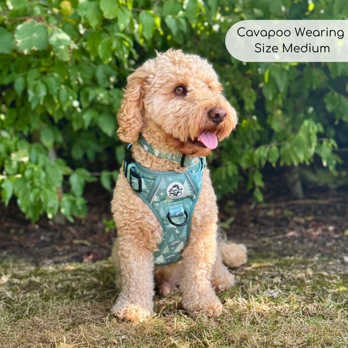 Rugged Rover™ Harness - Evergreen Trails - mezetto PupClub Couture PupClub Couture