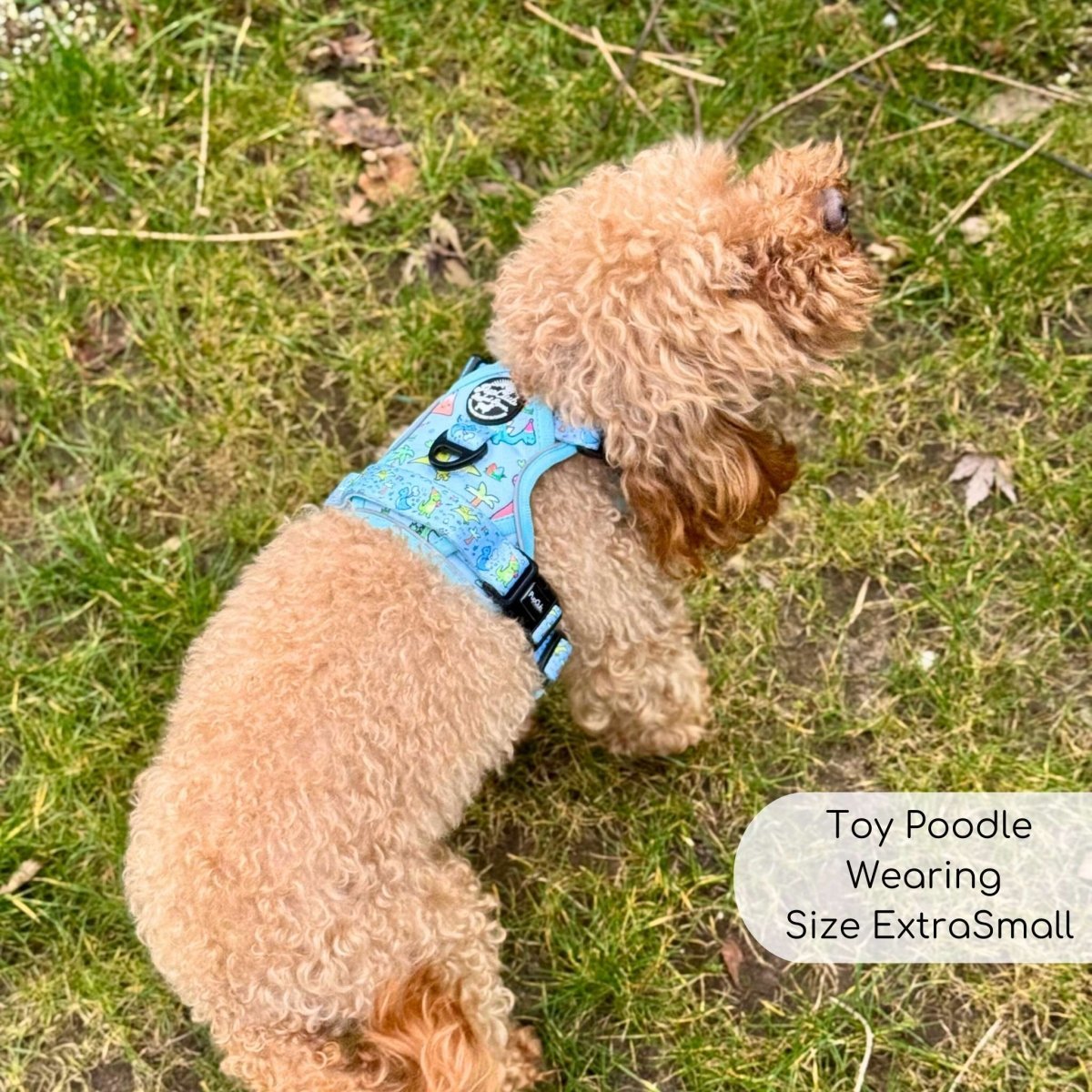 Rugged Rover™ Harness - Jurassic Party - mezetto PupClub Couture PupClub Couture