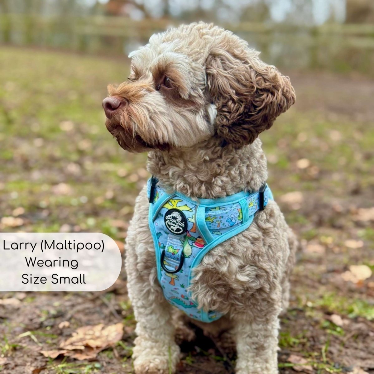 Rugged Rover™ Harness - Jurassic Party - mezetto PupClub Couture PupClub Couture