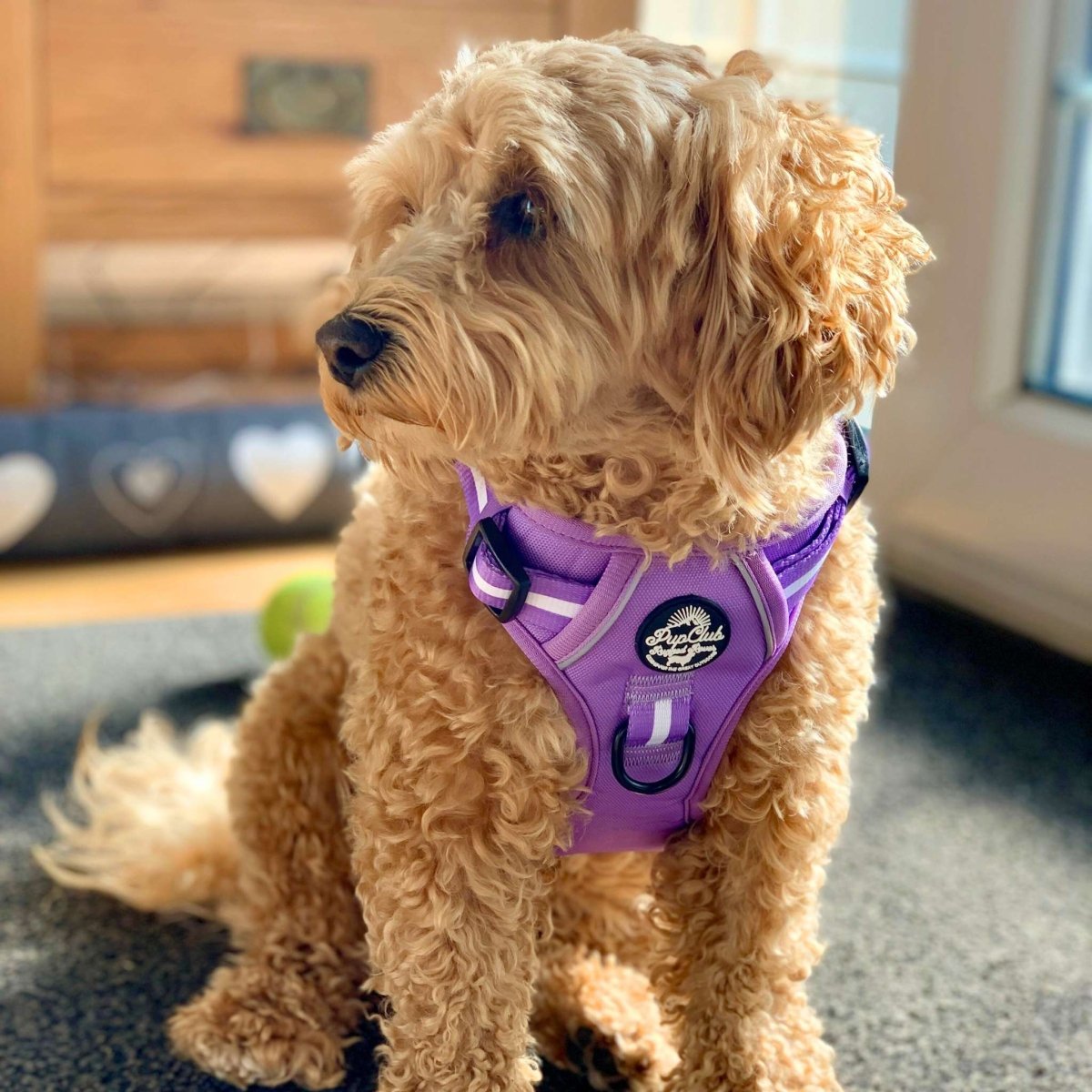 Rugged Rover™ Harness - Lilac Blush - mezetto PupClub Couture PupClub Couture