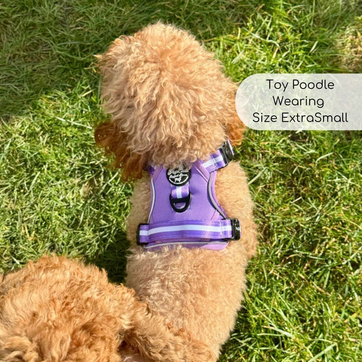 Rugged Rover™ Harness - Lilac Blush - mezetto PupClub Couture PupClub Couture