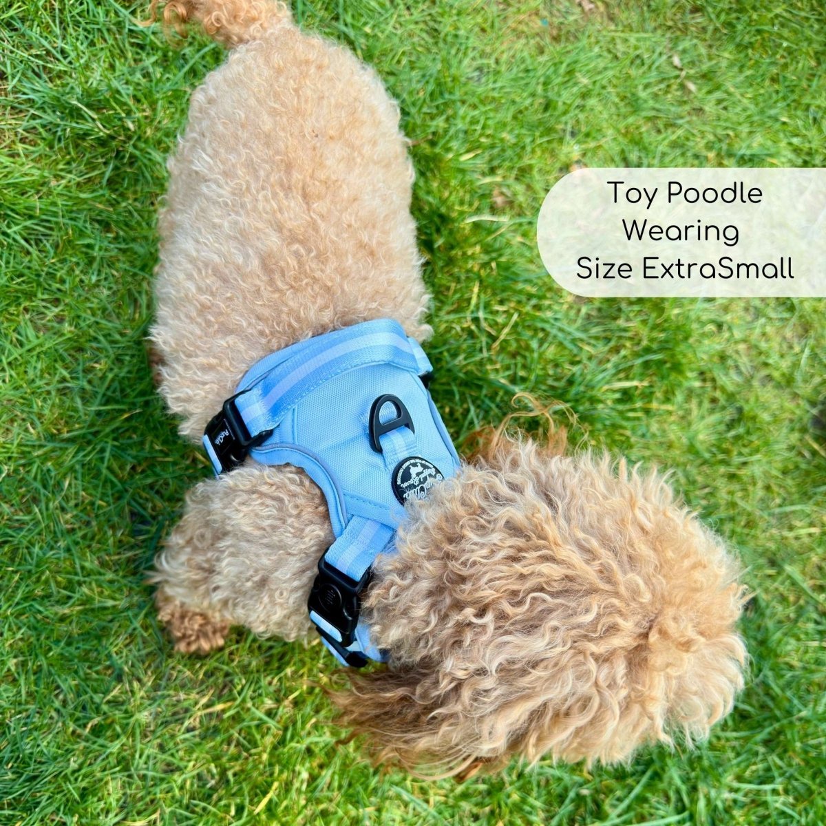 Rugged Rover™ Harness - Pastel Blue - mezetto PupClub Couture PupClub Couture