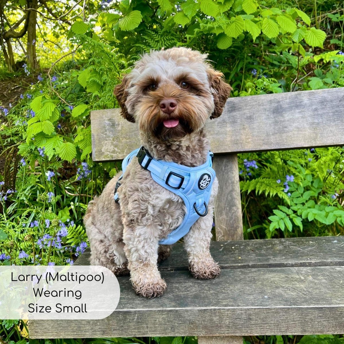 Rugged Rover™ Harness - Pastel Blue - mezetto PupClub Couture PupClub Couture