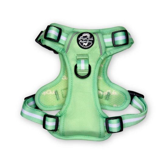 Rugged Rover™ Harness - Pastel Mint Green - mezetto PupClub Couture PupClub Couture