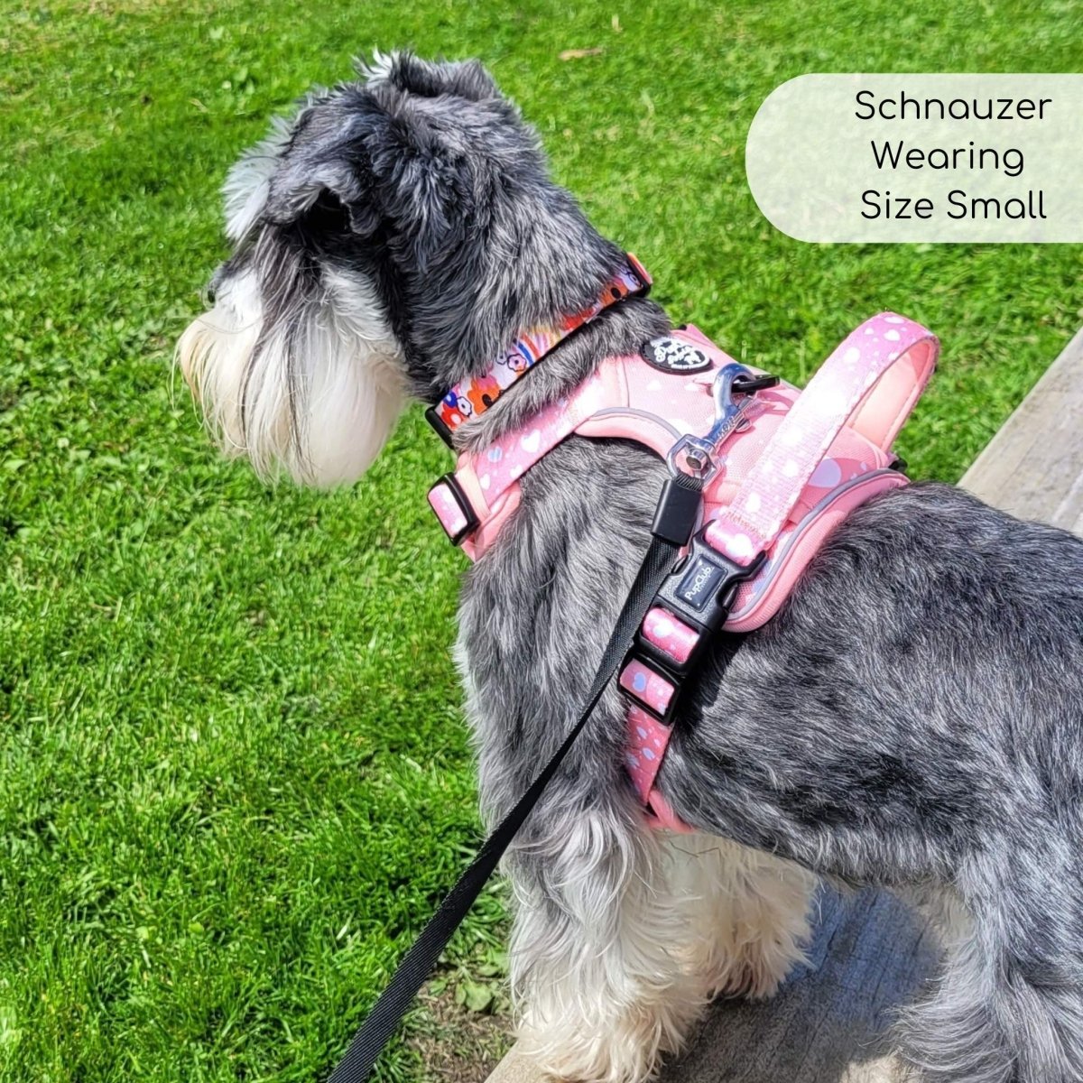 Rugged Rover™ Harness - Peachy Hearts - mezetto PupClub Couture PupClub Couture