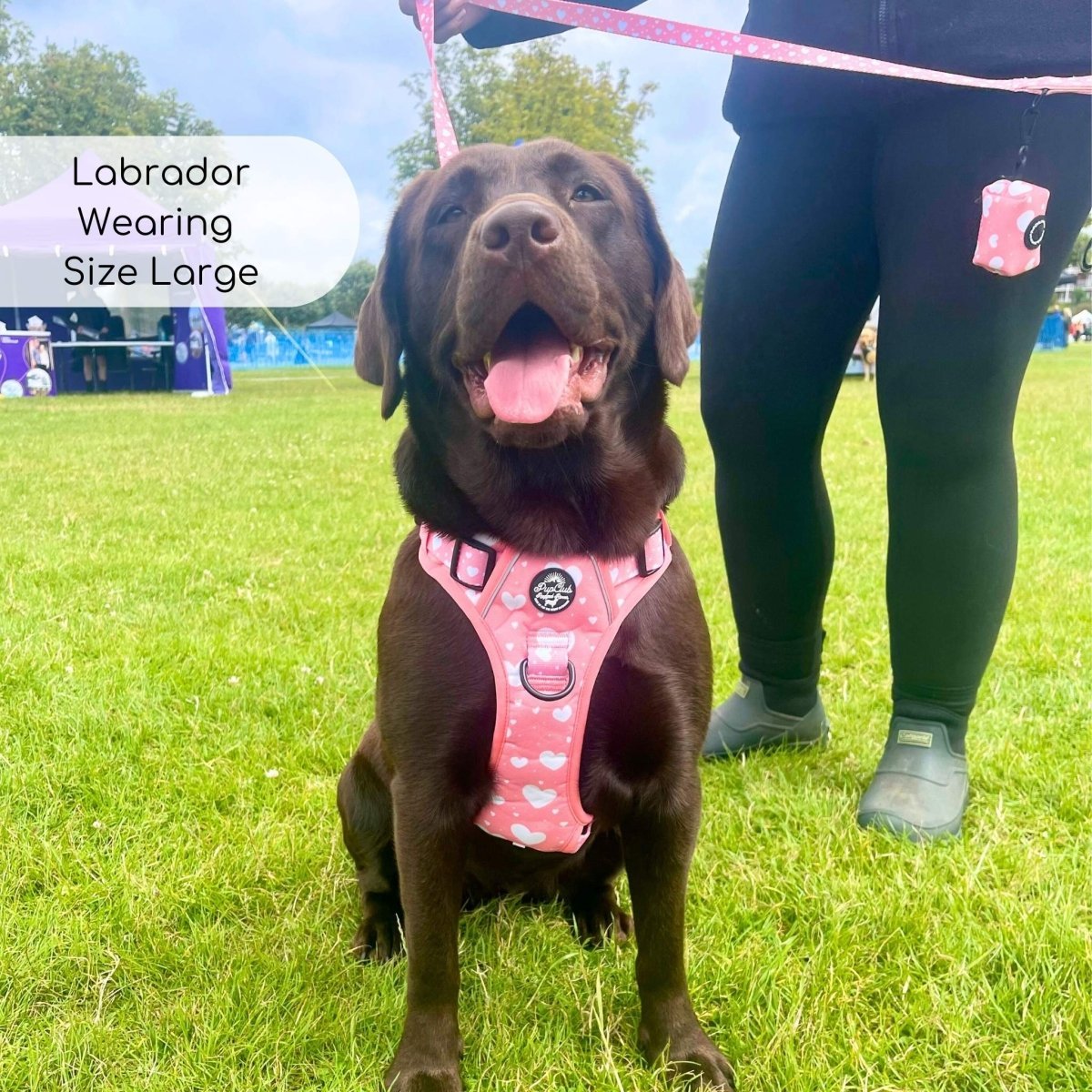 Rugged Rover™ Harness - Peachy Hearts - mezetto PupClub Couture PupClub Couture