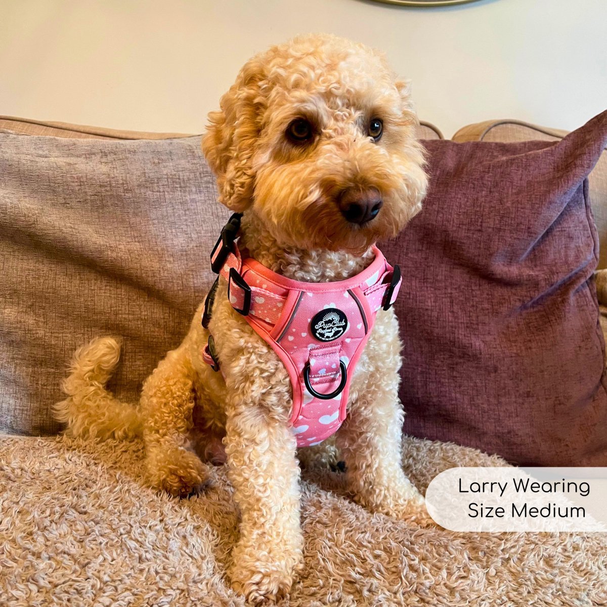 Rugged Rover™ Harness - Peachy Hearts - mezetto PupClub Couture PupClub Couture