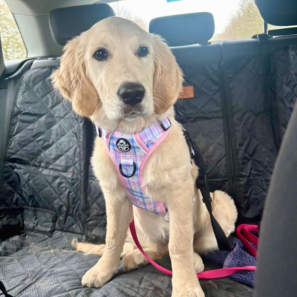 Rugged Rover™ Harness - Pink Tartan - mezetto PupClub Couture PupClub Couture