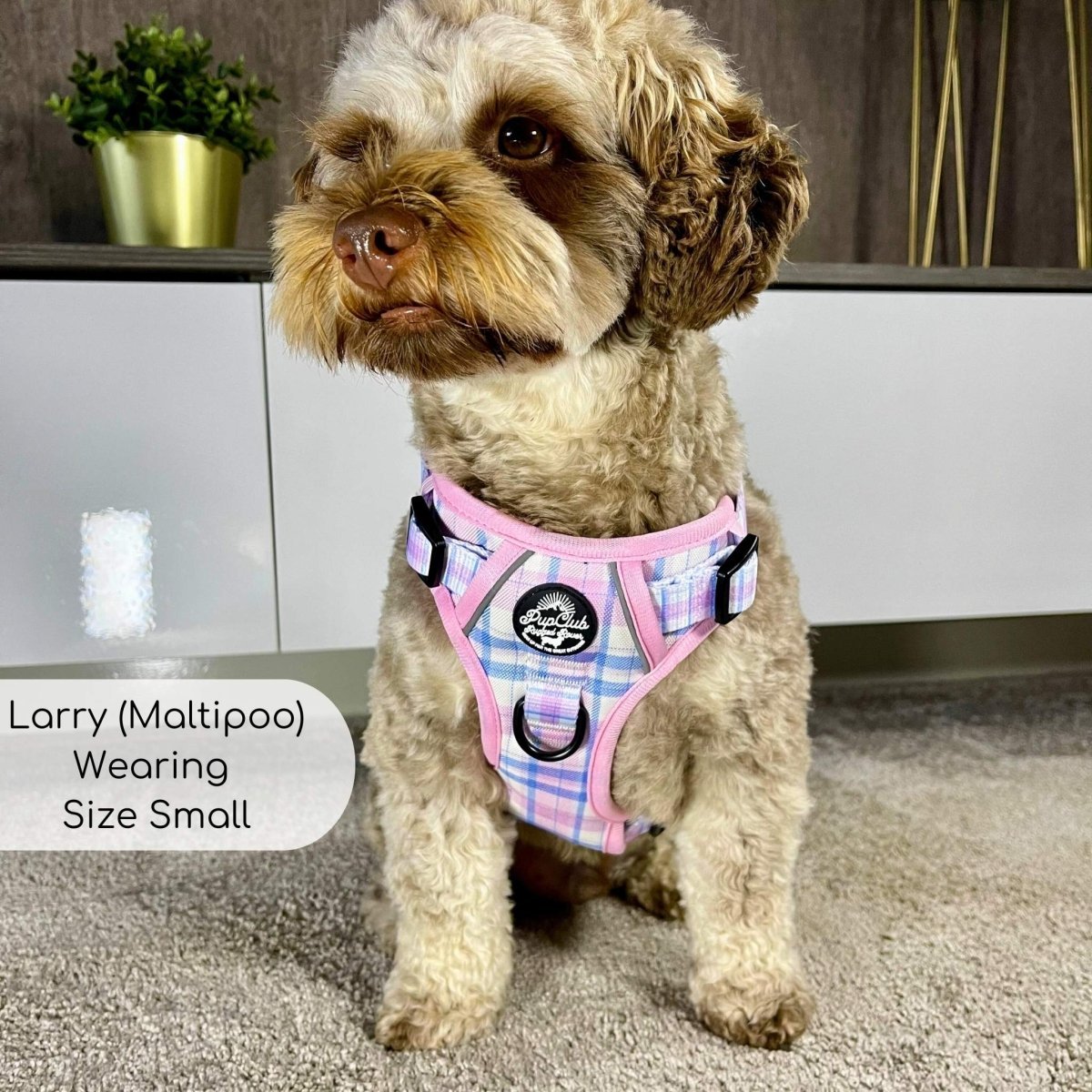 Rugged Rover™ Harness - Pink Tartan - mezetto PupClub Couture PupClub Couture