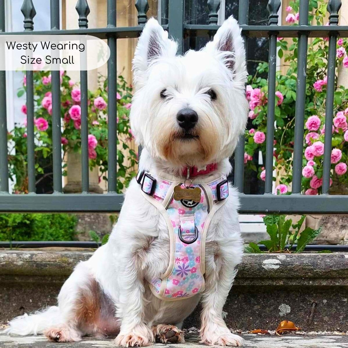 Rugged Rover™ Harness - Pretty Petals - mezetto PupClub Couture PupClub Couture