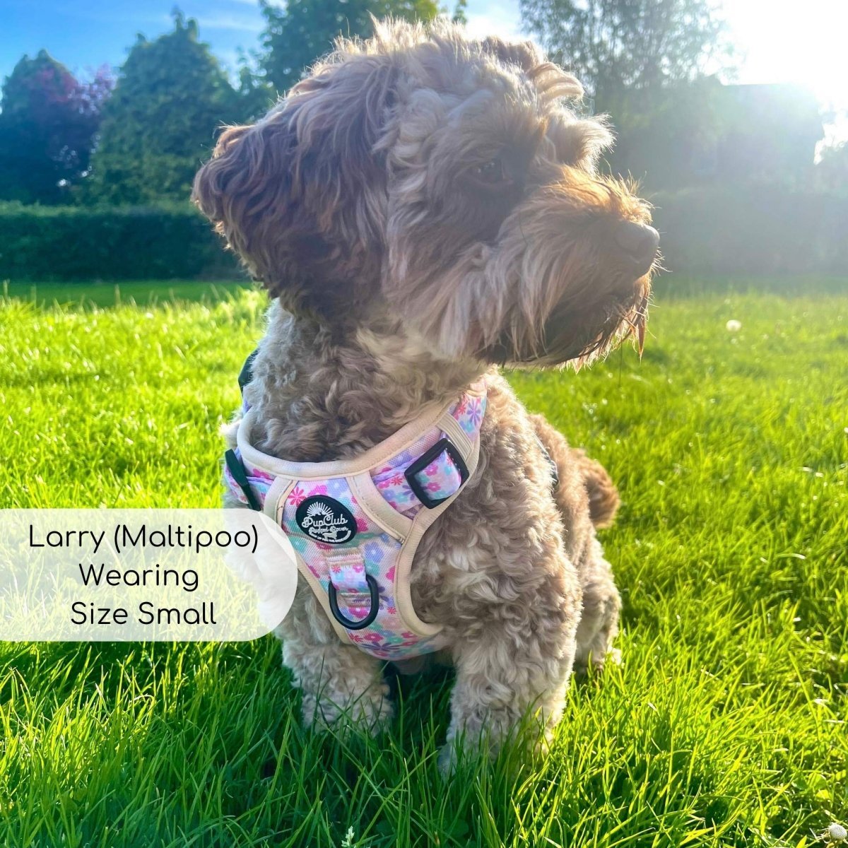 Rugged Rover™ Harness - Pretty Petals - mezetto PupClub Couture PupClub Couture