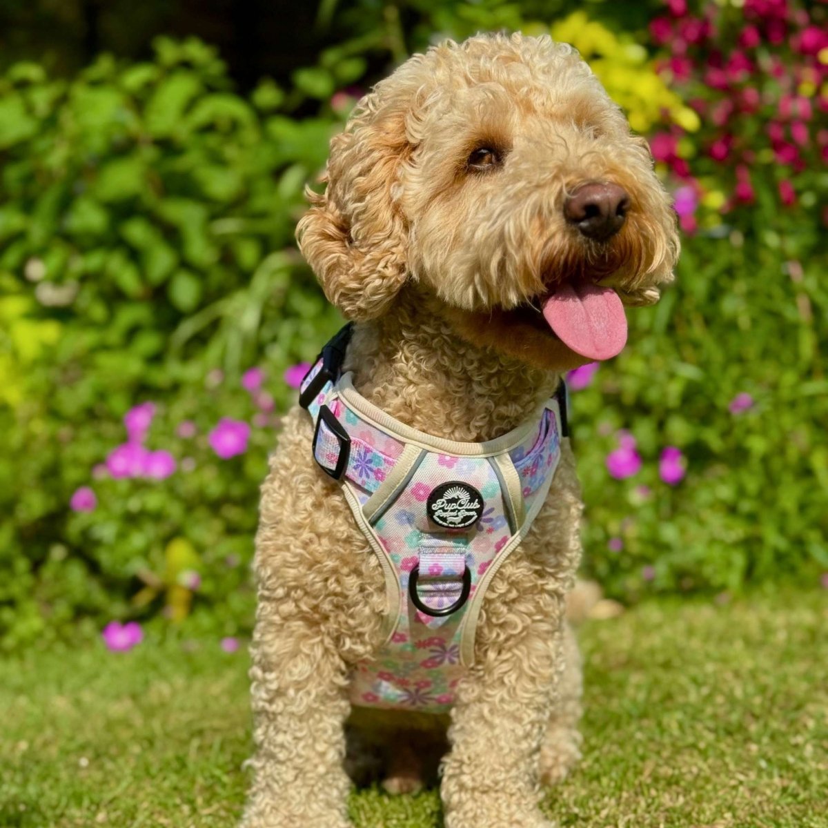 Rugged Rover™ Harness - Pretty Petals - mezetto PupClub Couture PupClub Couture
