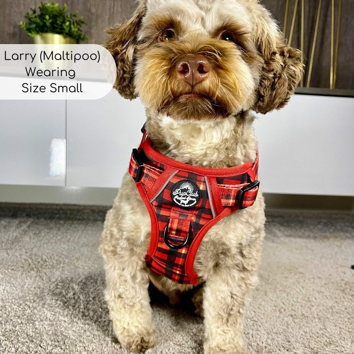 Rugged Rover™ Harness - Red Tartan - mezetto PupClub Couture PupClub Couture