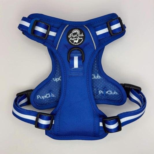 Rugged Rover™ Harness - Royal Blue - mezetto PupClub Couture PupClub Couture