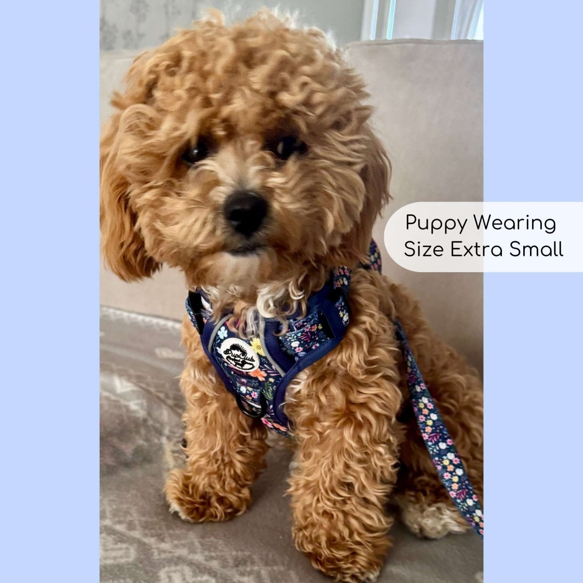 Rugged Rover™ Harness - Summer Meadow - mezetto PupClub Couture PupClub Couture