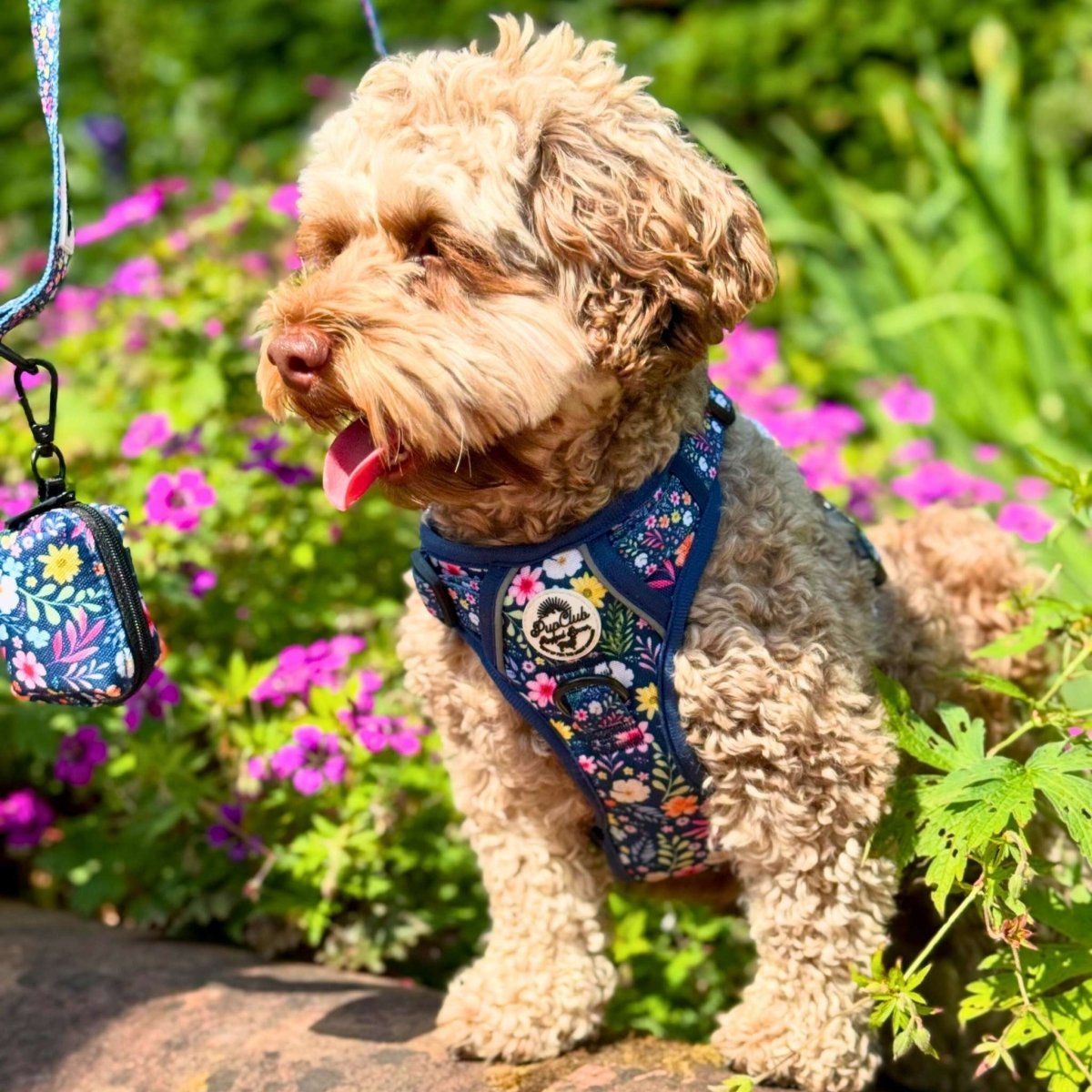 Rugged Rover™ Harness - Summer Meadow - mezetto PupClub Couture PupClub Couture