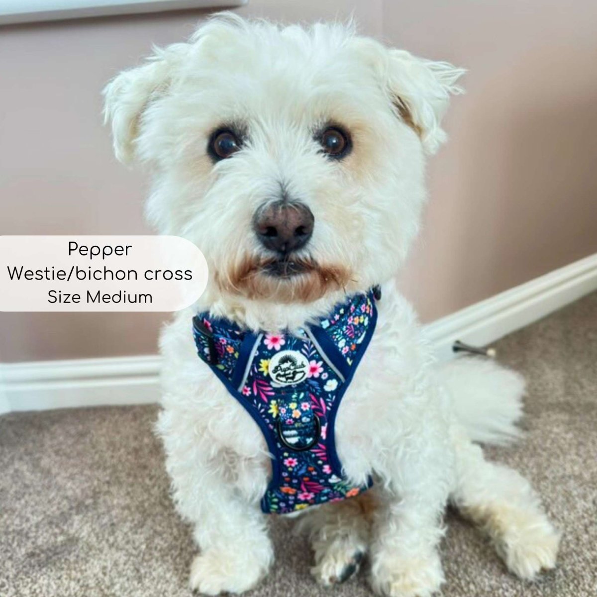 Rugged Rover™ Harness - Summer Meadow - mezetto PupClub Couture PupClub Couture