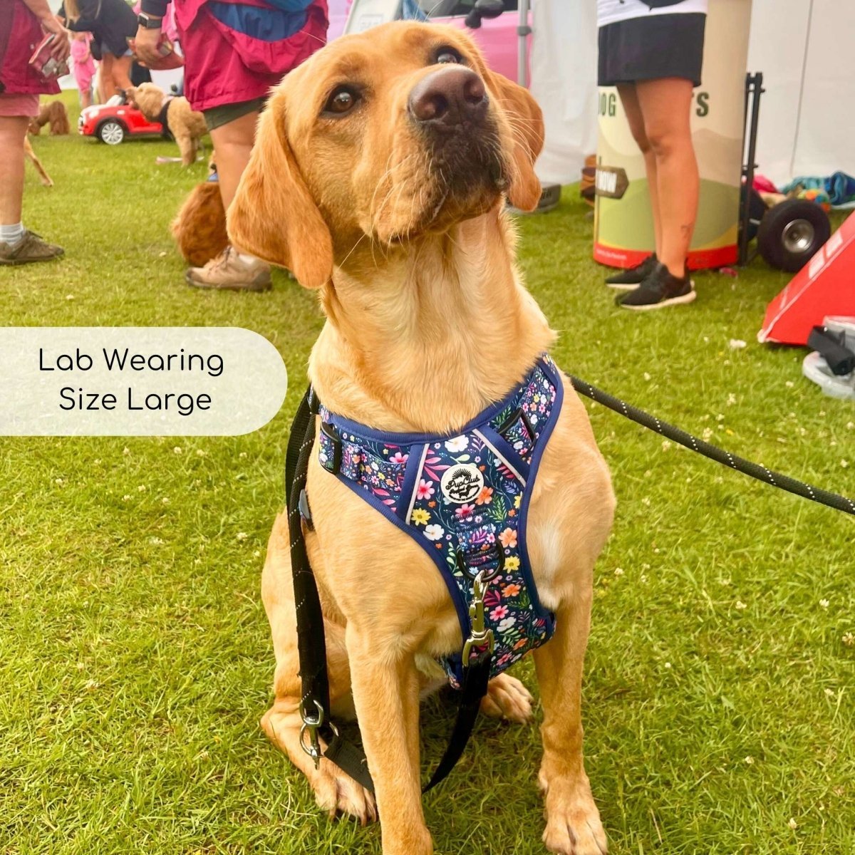 Rugged Rover™ Harness - Summer Meadow - mezetto PupClub Couture PupClub Couture