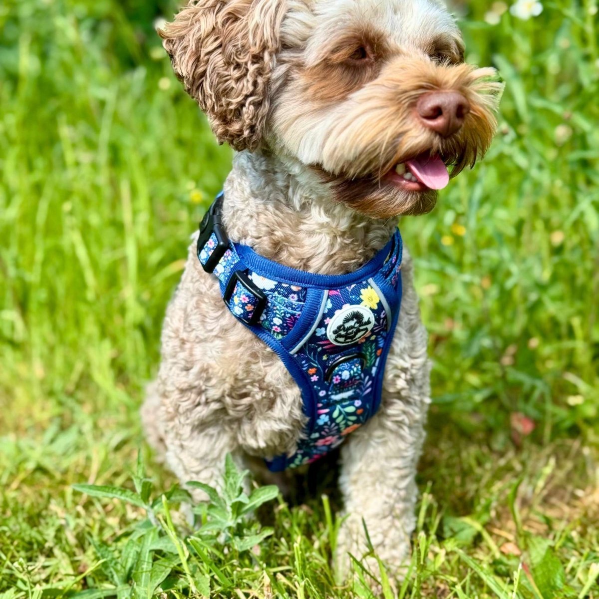Rugged Rover™ Harness - Summer Meadow - mezetto PupClub Couture PupClub Couture