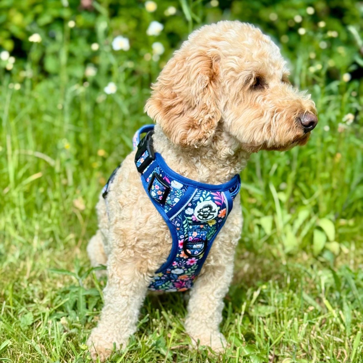 Rugged Rover™ Harness - Summer Meadow - mezetto PupClub Couture PupClub Couture