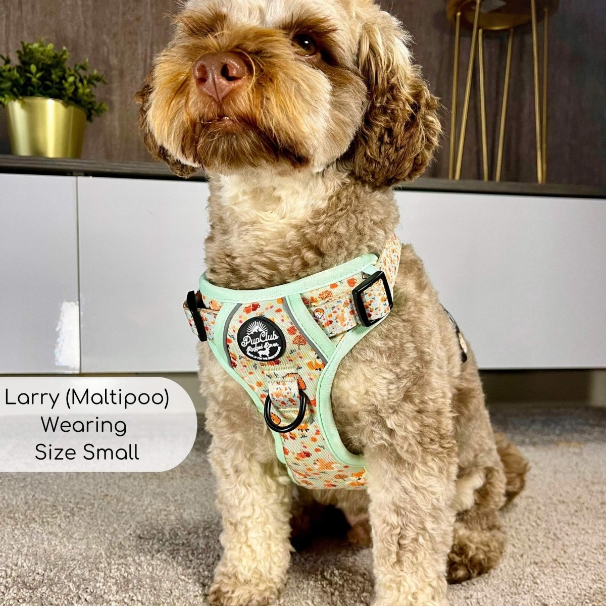 Rugged Rover™ Harness - Woodland Friends - mezetto PupClub Couture PupClub Couture