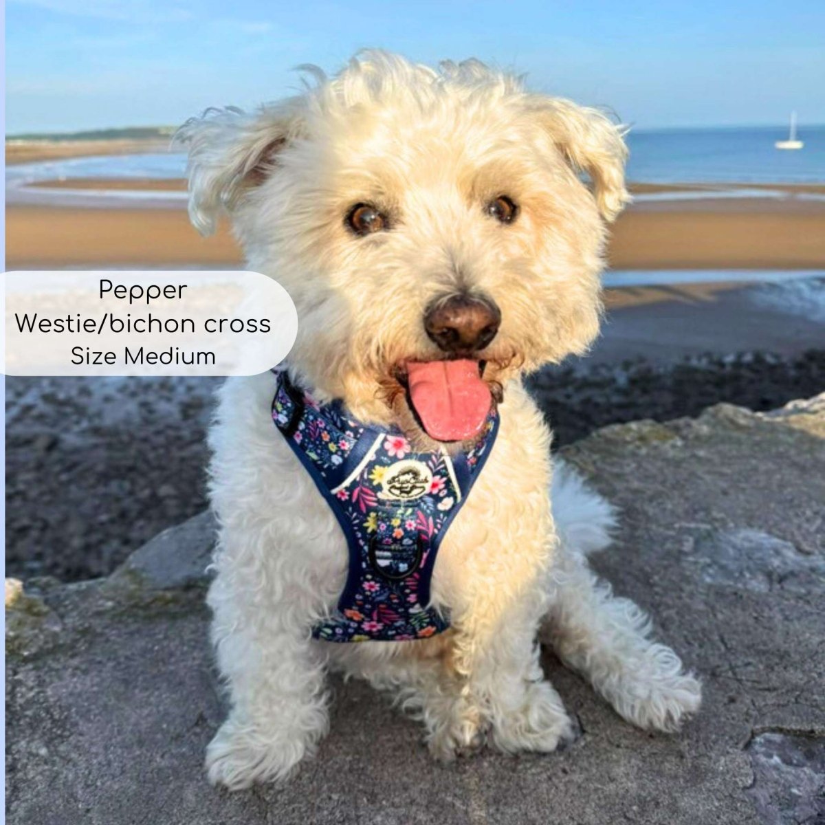 Rugged Rover™ Harness - Summer Meadow