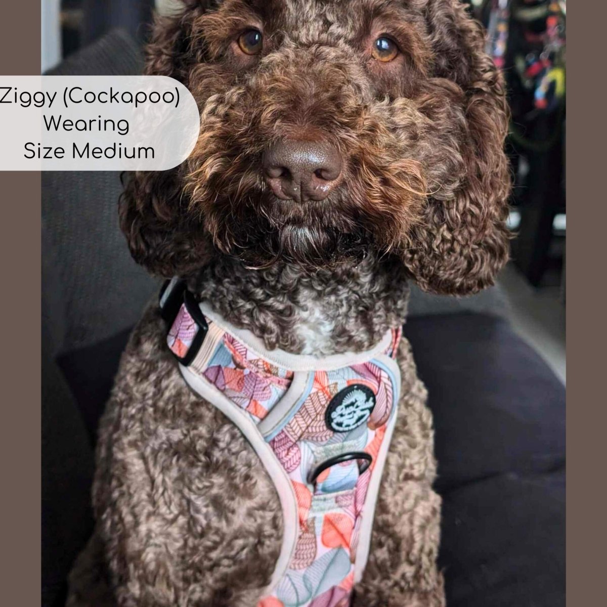 Rugged Rover™ Harness - Autumn Breeze