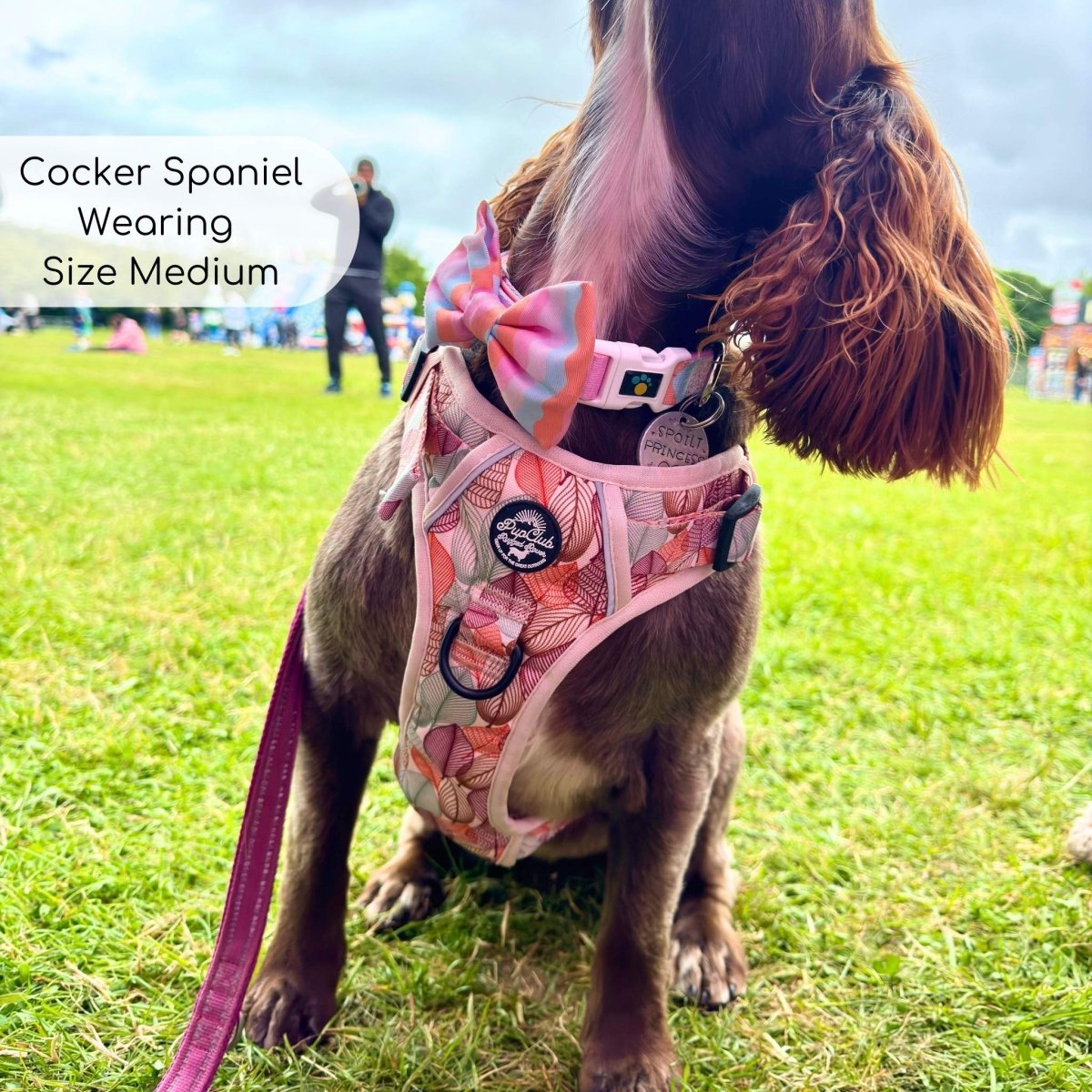 Rugged Rover™ Harness - Autumn Breeze