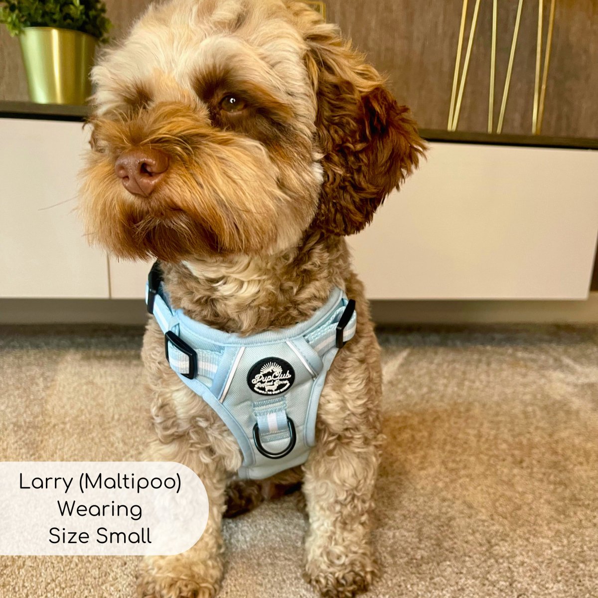 Rugged Rover™ Harness - Pastel Blue