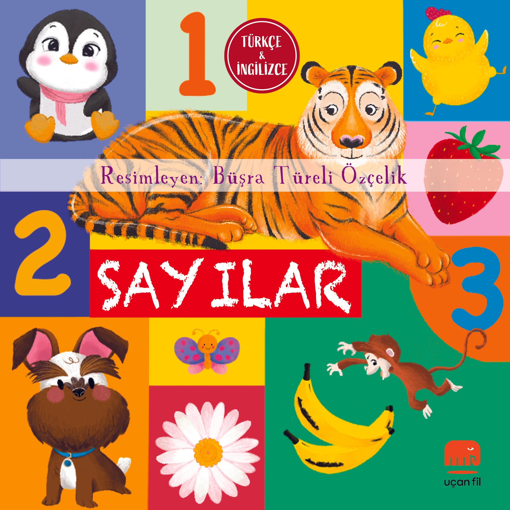 Sayılar (Board Book)