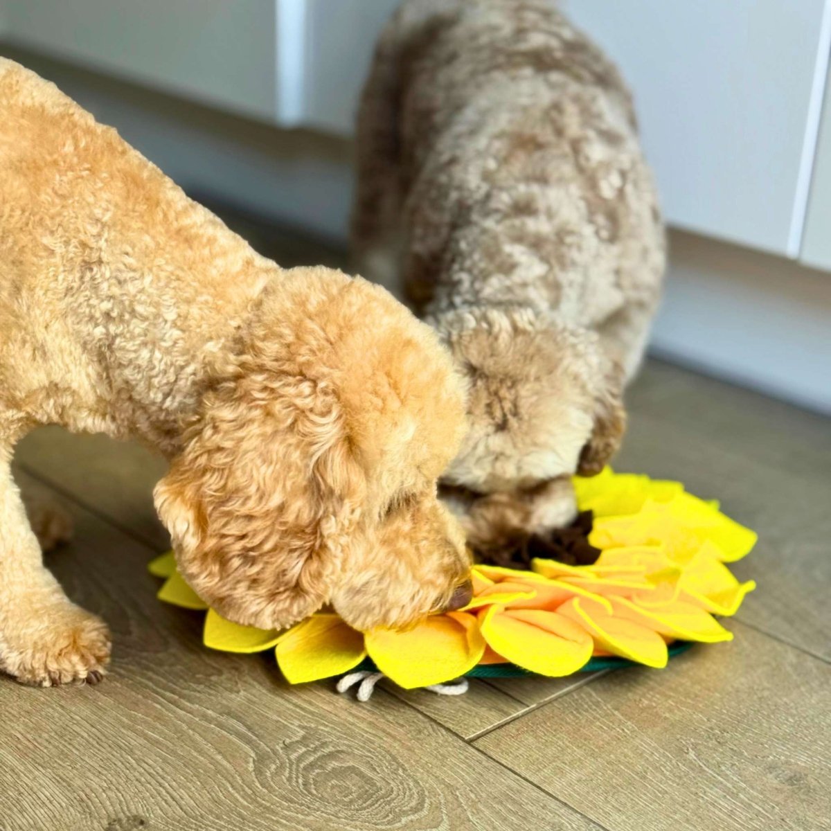 Snuffle Mat - Sunflower - mezetto PupClub Couture PupClub Couture