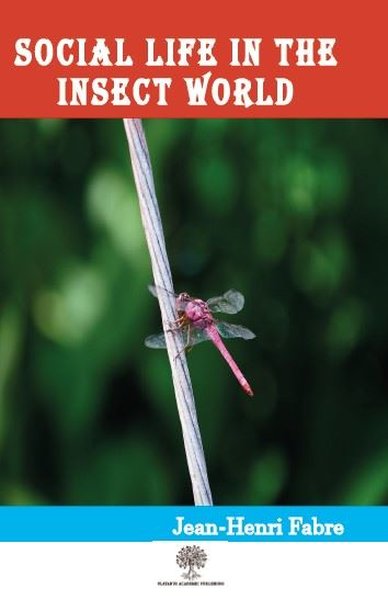 Social Life in the Insect World