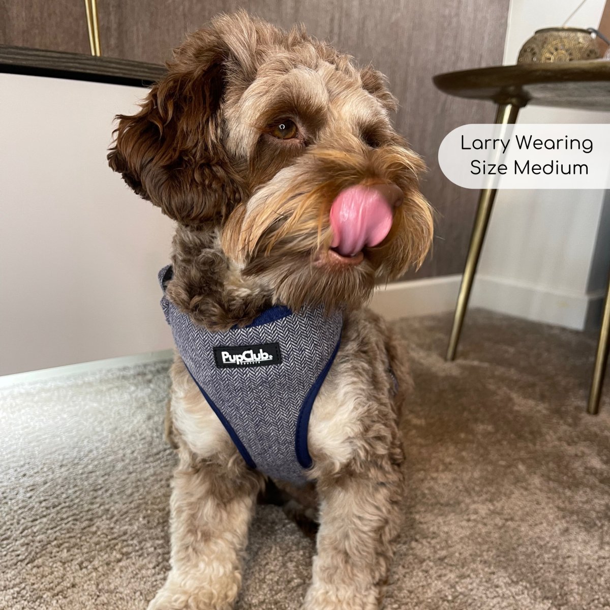 Tweed Adjustable Harness - Blue - mezetto PupClub Couture PupClub Couture