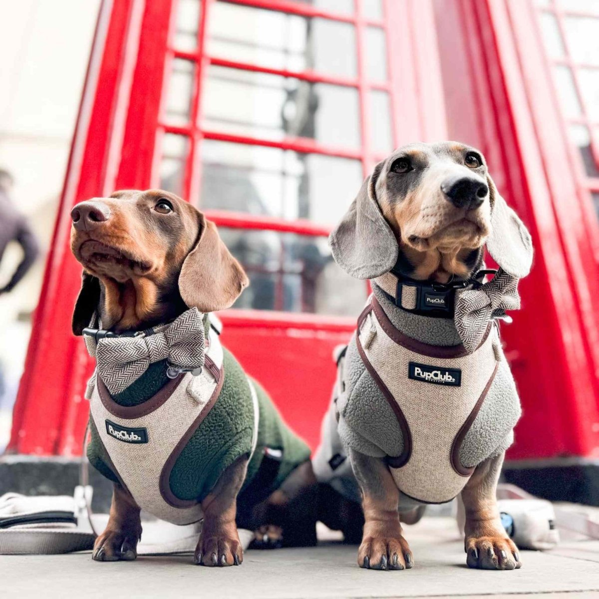 Tweed Adjustable Harness - Brown - mezetto PupClub Couture PupClub Couture