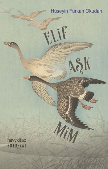 Elif Aşk Mim - Hayykitap Kitap