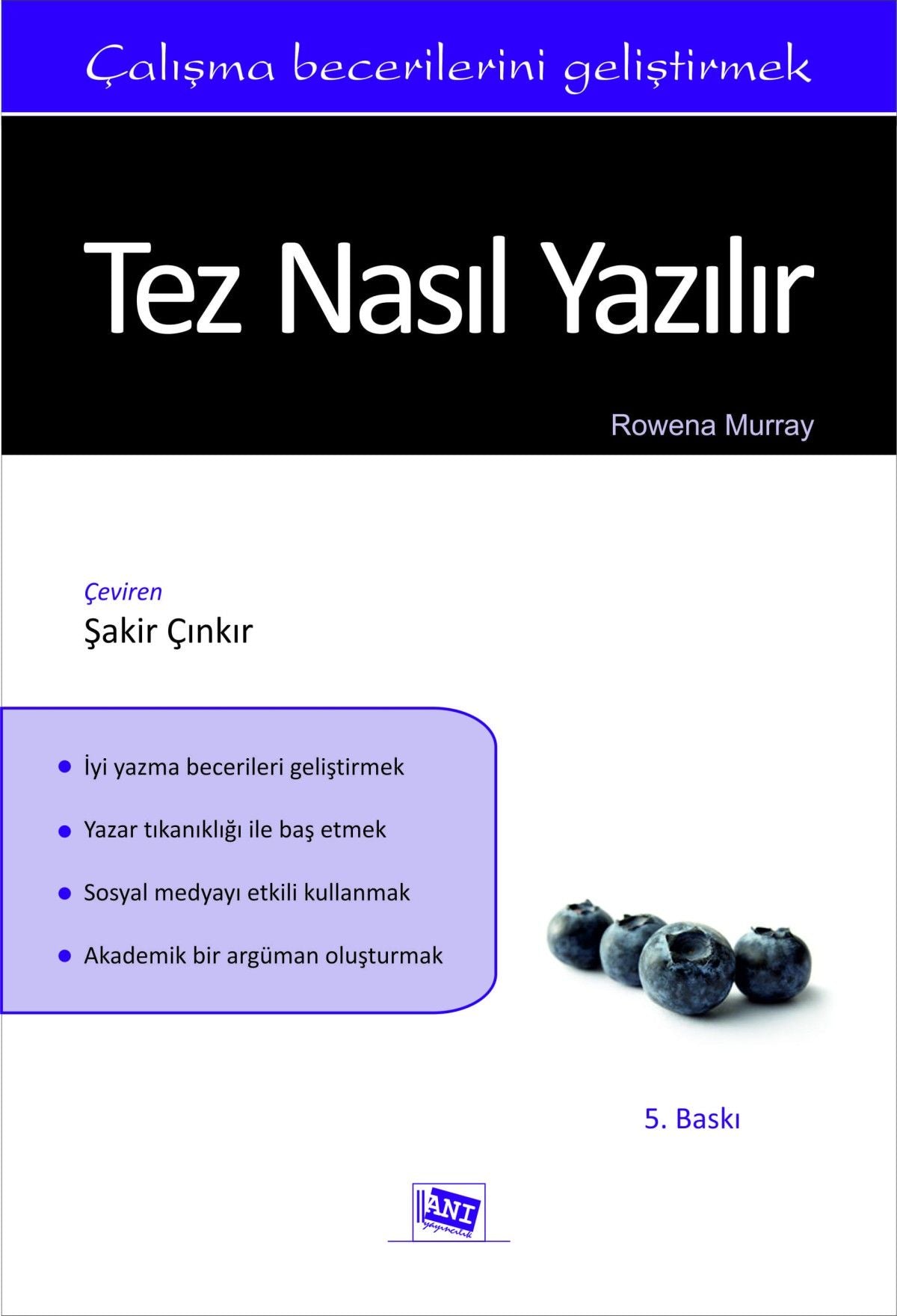 Tez Nasıl Yazılır – Rowena Murray – Anı Yayıncılık – kitap kapağı
