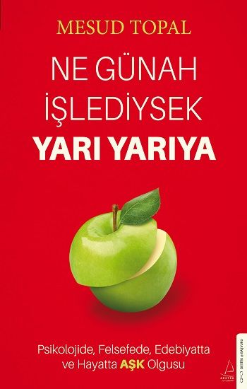 Ne Günah İşlediysek Yarı Yarıya - Destek Yayınları Kitap