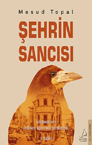 Şehrin Sancısı - Destek Yayınları Kitap