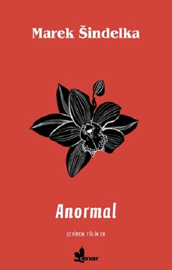 Anormal - Çınar Yayınları Kitap
