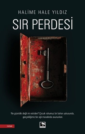 Sır Perdesi – Halime Hale Yıldız – Çınaraltı Yayınları – kitap kapağı