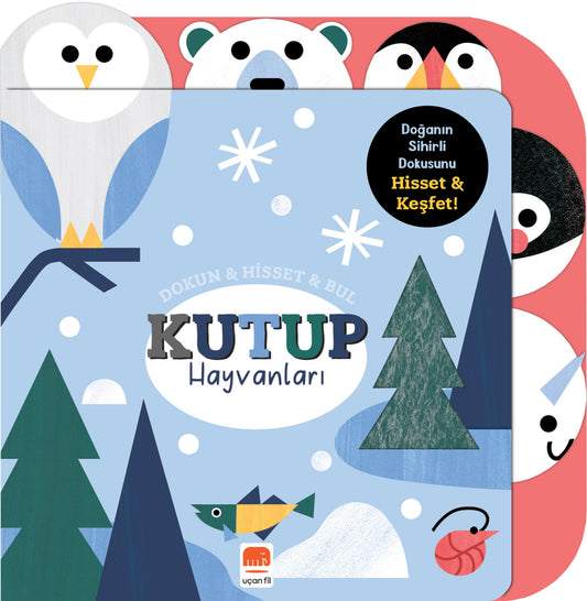 Dokun & Hisset & Bul Kutup Hayvanları  (Boardbook) - Uçan Fil Yayınları Kitap