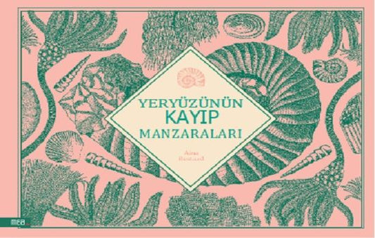 Yeryüzünün Kayıp Manzaraları - Mea Kitap Kitap