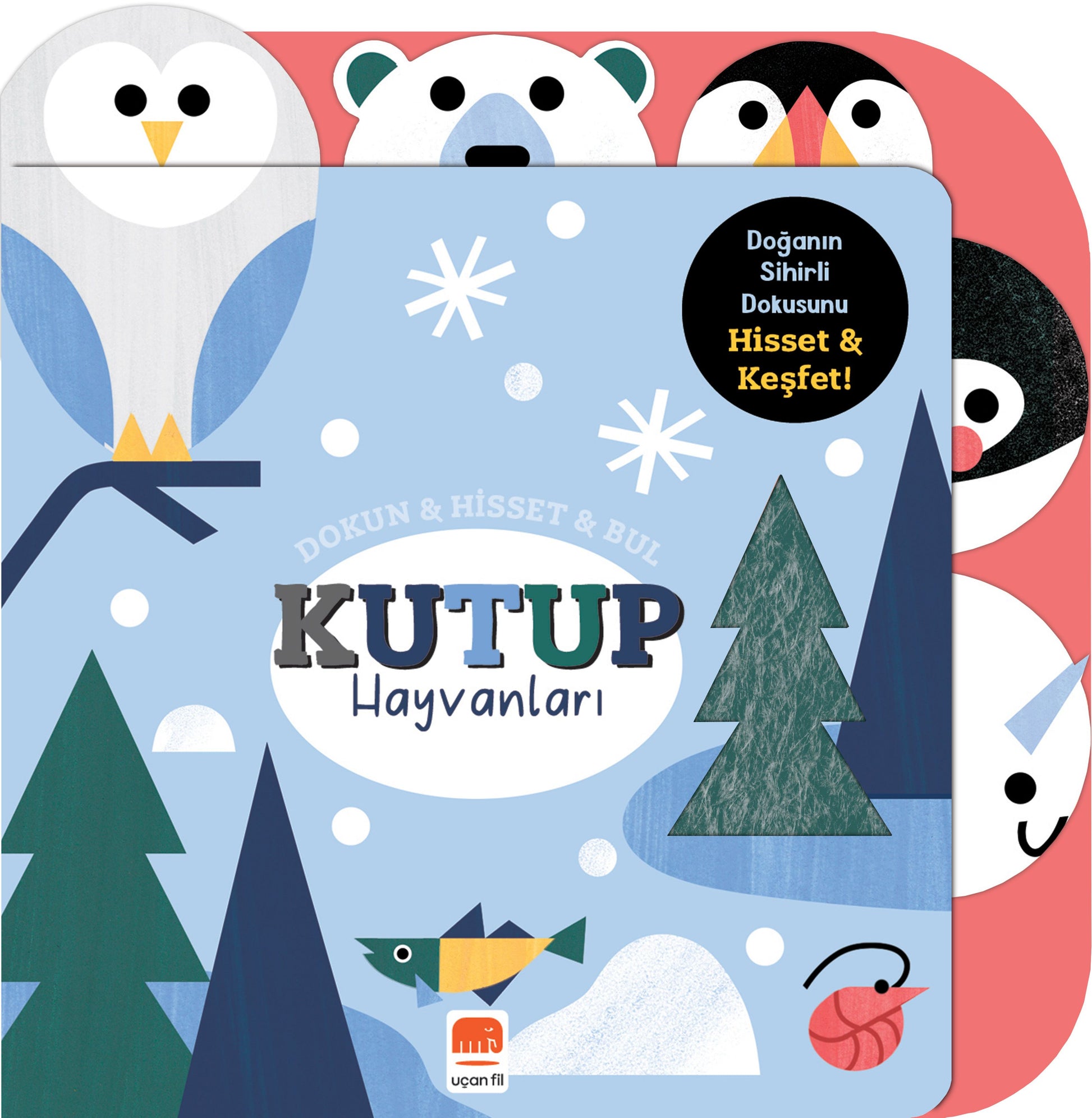 Dokun & Hisset & Bul Kutup Hayvanları  (Boardbook) – Rebecca Weerasekera – Uçan Fil Yayınları – kitap kapağı