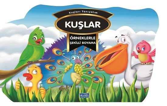 Örneklerle Şekilli Boyama  - Kuşlar – Barbaros Özcan – Parıltı Yayınları – kitap kapağı