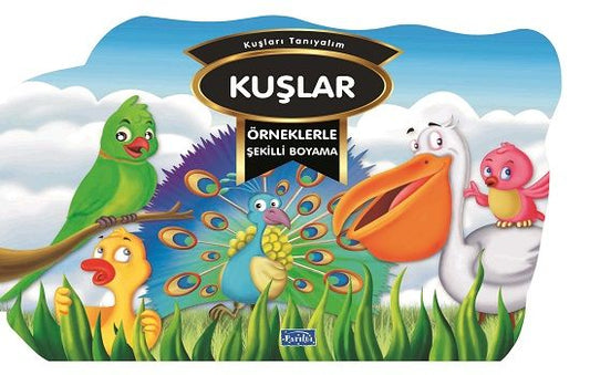 Örneklerle Şekilli Boyama  - Kuşlar – Barbaros Özcan – Parıltı Yayınları – kitap kapağı