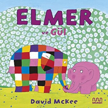 Elmer ve Gül - Mundi Kitap