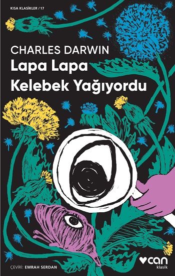 Lapa Lapa Kelebek Yağıyordu - Can Yayınları Kitap