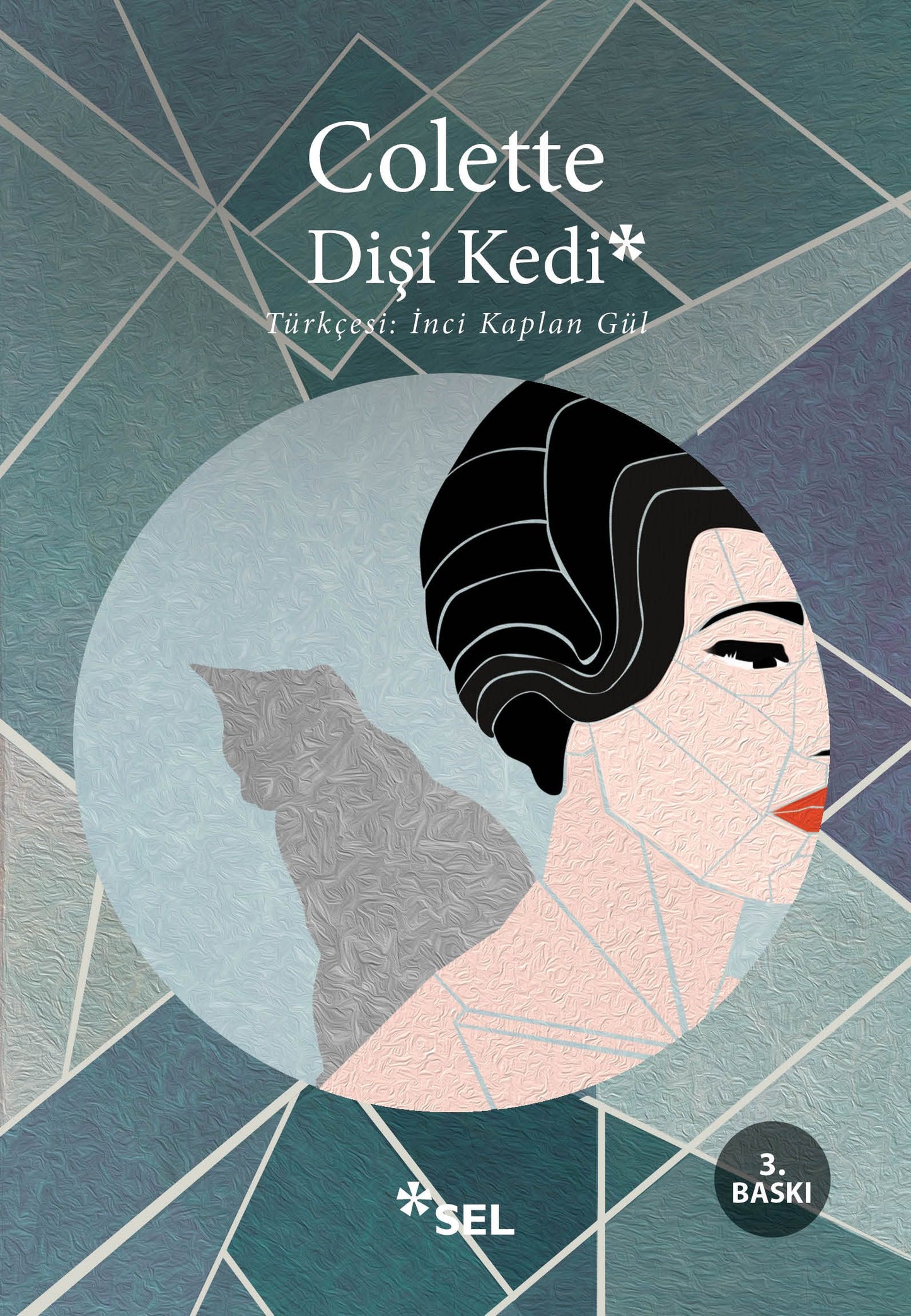 Dişi Kedi - Sel Yayıncılık Kitap