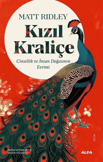 Kızıl Kraliçe - Alfa Yayınları Kitap