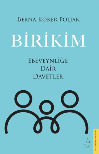 Birikim - Destek Yayınları Kitap